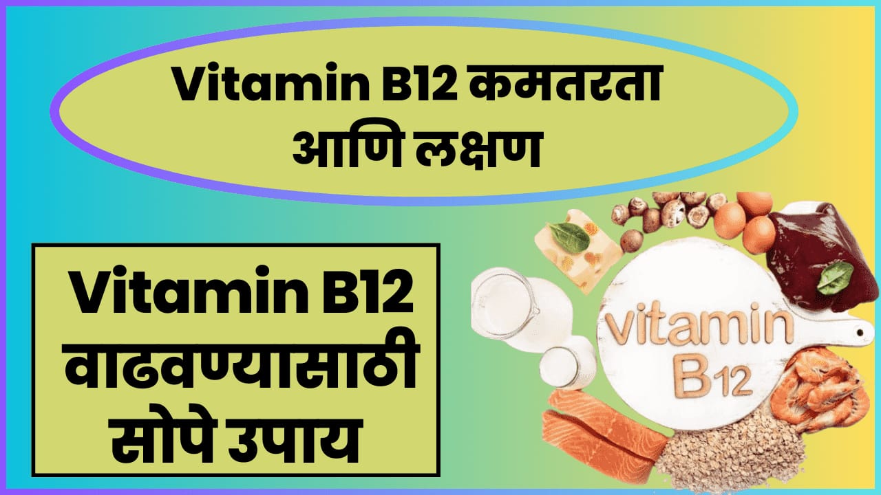 importance of vitamin B12